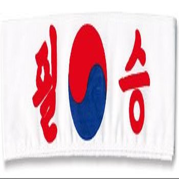 Tiger Claw Headband - Pil Seung
