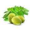 Cucina Coriander and Olive Tree 33.8 oz Purifying Hand Wash Refill view 2