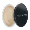 Youngblood Clean Luxury Cosmetics Loose Mineral Rice Setting Powder, Medium | Loose Face Powder Setting Foundation Translucent Finishing Matte Natural Acne | Vegan, Cruelty-Free, Paraben-Free view 1