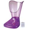 Carmengirls CG3FS Facial Sauna view 1
