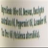 Tea Tree Therapy Eucalyptus Australian Chest Oil, Lavender Peppermint and Tea Tree, 2 Ounce,80050 view 3