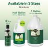 ShiKai Daily Moisturizing Shower Gel (Gardenia, 12 oz) | Gentle Formula | With Aloe Vera & Oatmeal for Soft, Healthy Skin | Dry Skin Relief view 4