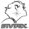 Studex Sterilized Piercing Earrings Ear Stud Birthstar October view 3