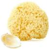 Natural Wool Sea Sponge - 4-5 Inch view 1