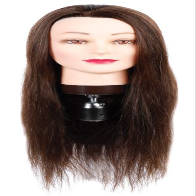 - Hairart 24" Cosmetology Mannequin Head Human Hair, Dark Brown Hair - Anna
