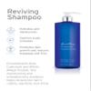 Kerstin Florian Reviving Shampoo | Moisturize & Boost Shine | Aloe and Wheat Protein Detangle & Hydrate Dull Hair | All Hair Types (32 fl oz) view 2