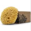 Baudelaire Sea Wool Sponge 5.5" - Natural Sea Sponge for Bathing and Shower - Durable, Sustainable & Environment-Friendly Loofah for Body view 1