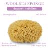 Baudelaire Sea Wool Sponge 5.5" - Natural Sea Sponge for Bathing and Shower - Durable, Sustainable & Environment-Friendly Loofah for Body view 2