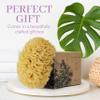 Baudelaire Sea Wool Sponge 5.5" - Natural Sea Sponge for Bathing and Shower - Durable, Sustainable & Environment-Friendly Loofah for Body view 4