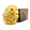 Sea Wool Sponge by Baudelaire 5.5" - Natural Sea Sponges for Bathing - Bath Sea Sponge for Shower - Natural Sea Sponge Loofah | Durable | Sustainable & Environment-Friendly Natural Sponges for Body view 1