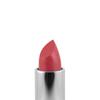 Palladio Herbal Lipstick, Rich Pigmented and Creamy, Infused with Aloe Vera, Chamomile & Ginseng, Prevents Lips from Drying, Combats Fine Lines, Long Lasting Lipstick, Silver Rose view 3