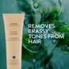 Aveda Blue Malva Color Conditioner | Purple Conditioner for Silver, Gray, Blonde Hair | Neutralizes Brassiness | Deeply Conditions Hair, 8.5 Fl Oz view 2