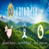 Auromere Ayurvedic Shampoo Bar - Eco Friendly, Handmade, Vegan, Cruelty Free, Natural, Non GMO, All in One Bar for Soap and Shampoo (4.23 oz), 1 pack view 4
