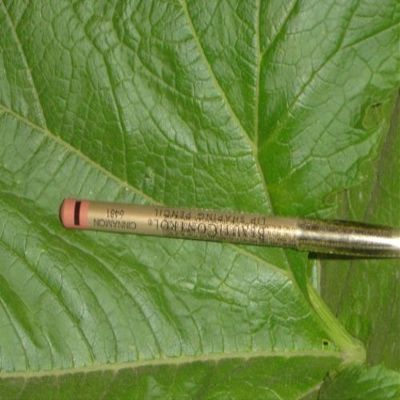 Beauticontrol Lip Shaping Pencil, 1.15 g (CINNAMON) by BeautiControl