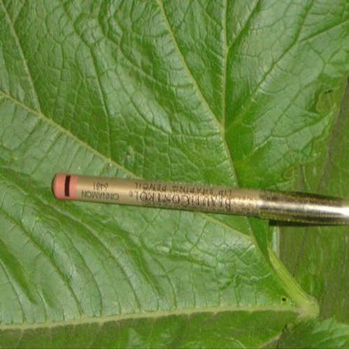 Beauticontrol Lip Shaping Pencil, 1.15 g (CINNAMON) by BeautiControl