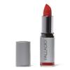 Palladio Herbal Lipstick, Rich Pigmented and Creamy, Infused with Aloe Vera, Chamomile & Ginseng, Prevents Lips from Drying, Combats Fine Lines, Long Lasting Lipstick, Toasted Orange view 2