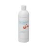 Anasept Skin and Wound Antiseptic - 15 Oz Bottle with Dispensing Cap - Bottle view 1