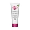 DERMA E Purifying Daily Facial Detox Scrub with Activated Charcoal and Seaweed Extract Exfoliating Face Scrub Cleanses, Smooths and Brightens, 4oz view 1