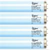 Brilliance Advanced Face & Body Tanning Kit (32) view 1