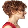 Sparkle Memory Cap Capless Wig by Raquel Welch Shag Style Color R29S view 4