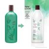 Bain de Terre Green Meadow Balancing Shampoo, Gentle Cleansing for Soft, Silky Hair with Argan & Monoi Oils, Paraben-free, Color-Safe, 33.8 Fl Oz view 2