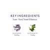 Aromatherapy Associates Support Equilibrium Bath and Shower Oil  Hydrating Oil with 3 Essential Oils to Uplift Mind, Body, and Spirit (1.86 oz) view 3