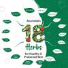 Medimix Herbal Handmade Ayurvedic Classic 18 Herb Soap for Healthy and Clear Skin (125 g) view 4