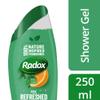 Radox Refresh Eucalyptus & Citrus Oil 2in1 Shower & Shampoo (250ml x 1) view 2