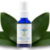 Ayur Medic Hi-Poten-C Serum Vitamin C Serum for Face, With Stable Vitamin C (Tertrahexyldecyl Ascorbate), Neossance Squalane, Vitamin E. For Dark Spots, Hydration Sun Damage, Fine Lines and Wrinkles. view 1
