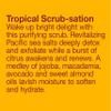 Alba Botanica Hawaiian Body Scrub, Revitalizing Sea Salt, 14.5 Oz view 3