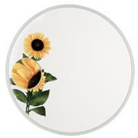 Alno Rotating/Magnifying Mirror