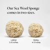 LATHER - Natural Sea Wool Sponge, 5-6" - Organic Exfoliating Body Scrubber - Soft, Gentle Cleansing - Hypoallergenic - All Skin Types - Florida Natural Loofah Sponge - Cruelty Free - Beauty & Skincare view 3