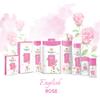 English Rose Soap 3 Bar Box 100gea bar by Yardley view 4