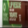 Desert Essence Lip Rescue Therapeutic with Tea Tree Oil - 0.15 Oz - Antiseptic Balm - For Cracked Lips, Cold Sores - For Softer, Smoother Lips - Moisturizer - Unscented - Vitamin E - Aloe Vera view 1