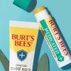 Burt's Bees Lip Balm Stocking Stuffers, Moisturizing Lip Care Christmas Gifts for Dry Chapped Lips, Medicated with Menthol & Eucalyptus, 100% Natural (2-Pack) view 2