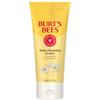 Burt's Bees Deep Cleansing Cream with Soap Bark and Chamomile, 98.9% Natural Origin, 6 Ounces view 1