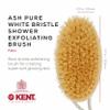Kent FD11 Shower Brush with Wrist Strap - Exfoliating Body Brush for Wet or Dry Skin, Improves Circulation, Perfect for Lathering and Scrubbing, Made in England view 2
