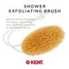 Kent FD11 Shower Brush with Wrist Strap - Exfoliating Body Brush for Wet or Dry Skin, Improves Circulation, Perfect for Lathering and Scrubbing, Made in England view 3