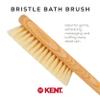 Kent FD5 Beechwood Wood Long Handle Shower Bath Body Brush. for Skin Exfoliate and Massage. 100% Boar Bristles. Best Back Body, Foot and Leg Scrubber Brushing for Wet and Dry Body. Made in England view 3