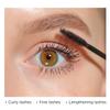 Lord and Berry Back in Brown High Definition Mascara - Water Resistant Mascara - Intense Brown Color - Easy to Apply - 1351 Deep Brown - 0.6 oz view 4