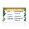 "Coco Fiji Soap Bar for Face and Body Infused With Organic Coconut Oil, Pineapple Coconut Essential Oil, Natural Soap for Moisturizing & Pore Purifying Skin, 7 oz, Pack Of 2 " view 3