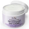 REVIVA LABS - Skin Smoothing Antioxidant Day Crme view 2