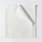 GRAHAM PROFESSIONAL TISSUE DRAPE & BED SHEETS 2 Ply Bed Sheet, White, 40" x 72", 50/cs
