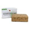 Reviva Original Formula Seaweed Soap 4.5 OZ. (127.5 G), Naturally Clean and Deodorize Your Skin With This Freshly Scented Soap view 1