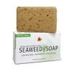 Reviva Original Formula Seaweed Soap 4.5 OZ. (127.5 G), Naturally Clean and Deodorize Your Skin With This Freshly Scented Soap view 2