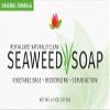 Reviva Original Formula Seaweed Soap 4.5 OZ. (127.5 G), Naturally Clean and Deodorize Your Skin With This Freshly Scented Soap view 4
