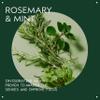 Aveda Rosemary Mint Hand & Body Wash | Liquid Hand Soap and Body Wash | with Invigorating Aroma of Certified Organic Peppermint & Rosemary, 8.5 Fl Oz view 3