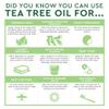 Desert Essence 100% Australian Tea Tree Oil Therapeutic Grade Essential Oil - Skin Cleansing, Clarifying, Soothing - Refreshing Air - Skin Care, Hair Care, Powerful Green Clean - Vegan, Non-GMO - 2oz view 4