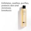 PCA SKIN Hydrating Face Wash for Oily Skin, Gentle Face Cleanser, Minimizes Breakouts, 7 fl oz Bottle view 3