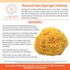 100% Natural Sea Sponge 5-6" by Spa Destinations"Creating The In Home Spa Experience" For the Perfect Bath or Shower Experience.  view 4